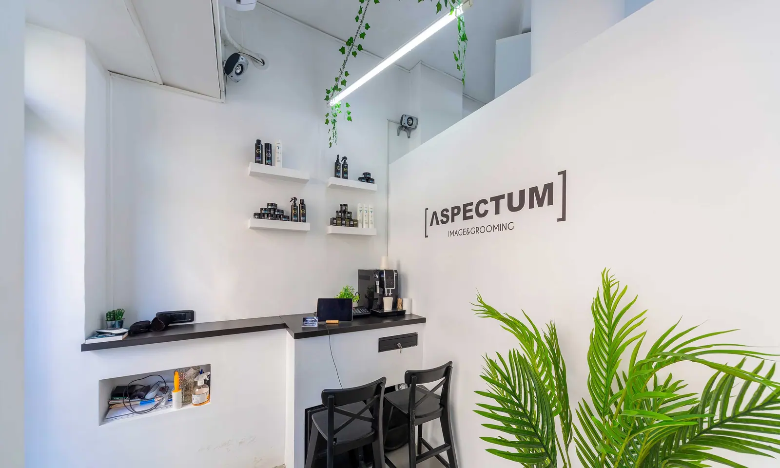 Recepția salonului ΛSPECTUM cu logo-ul pe perete și produsele de îngrijire